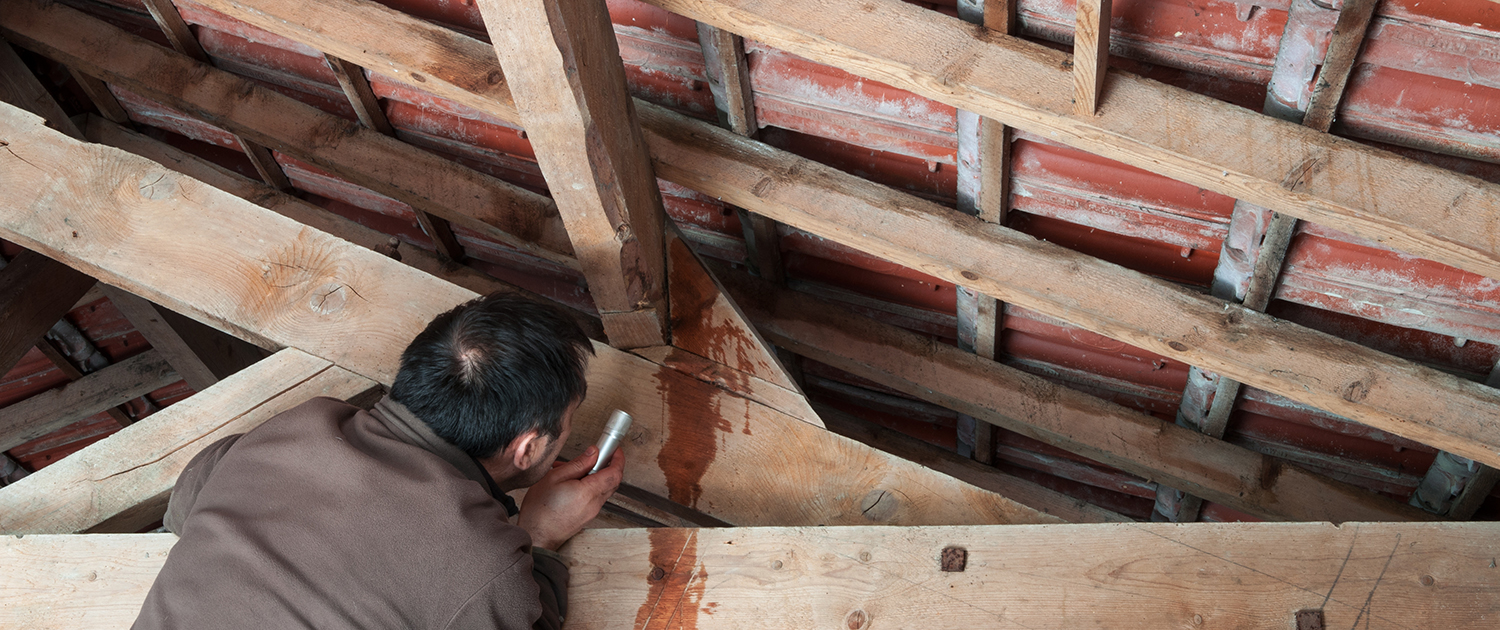 fuite d'eau suite tuile mécanique cassé